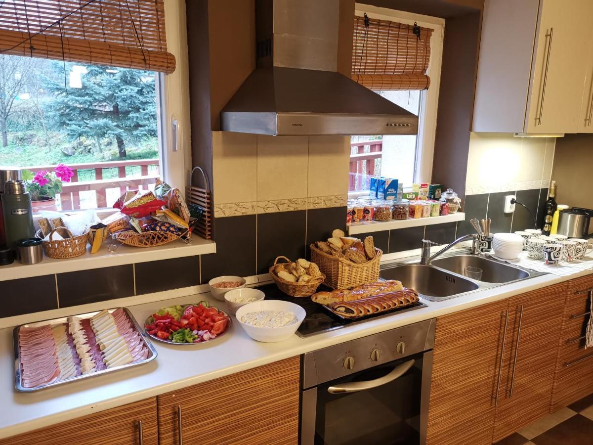 Privat Adriana Daire Kremnica Dış mekan fotoğraf